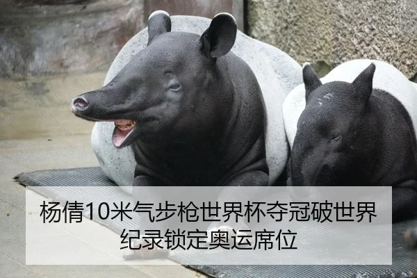 yang-qian-mi-qi-bu-qiang-shi-jie-bei-duo-guan-po-shi-jie-ji-lu-suo-ding-ao-yun-xi-wei-2-415.jpg